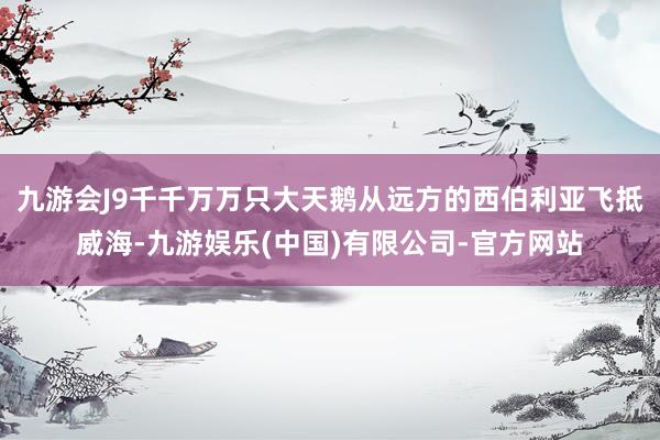 九游会J9千千万万只大天鹅从远方的西伯利亚飞抵威海-九游娱乐(中国)有限公司-官方网站