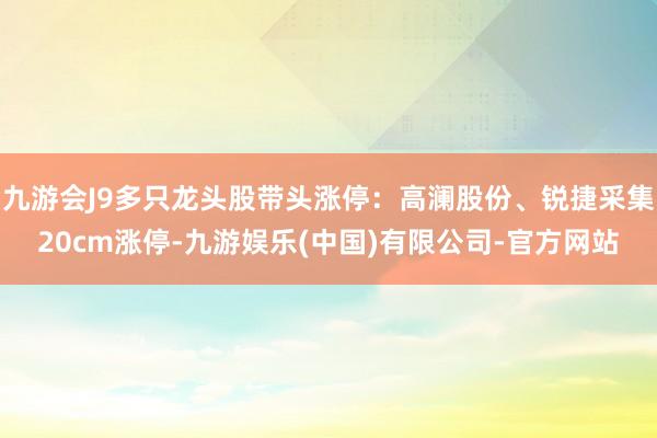 九游会J9多只龙头股带头涨停：高澜股份、锐捷采集20cm涨停-九游娱乐(中国)有限公司-官方网站