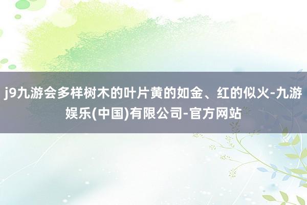 j9九游会多样树木的叶片黄的如金、红的似火-九游娱乐(中国)有限公司-官方网站