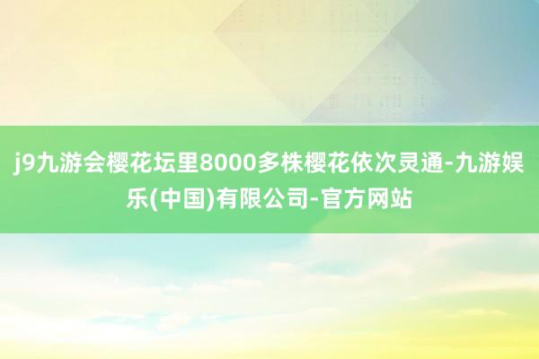 j9九游会樱花坛里8000多株樱花依次灵通-九游娱乐(中国)有限公司-官方网站